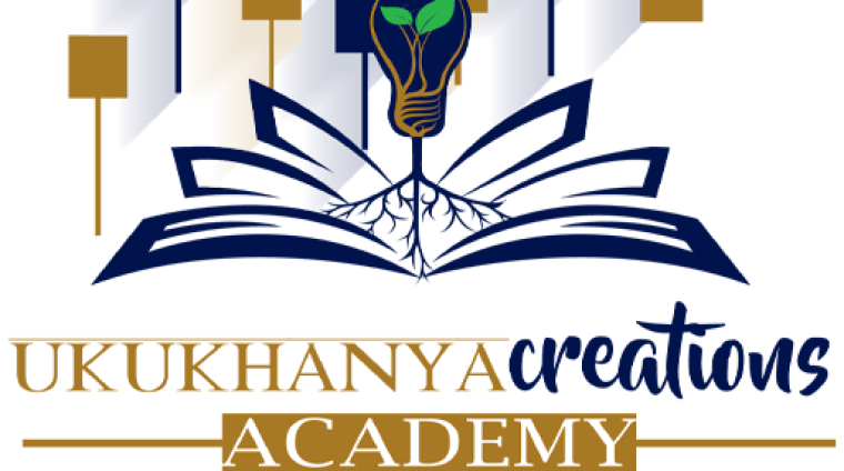 Training and Mentorship Program